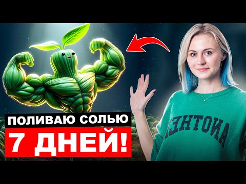 Видео: ЭКСПЕРИМЕНТ №1: Что будет с растением через 7 дней? | Ксения Напольская