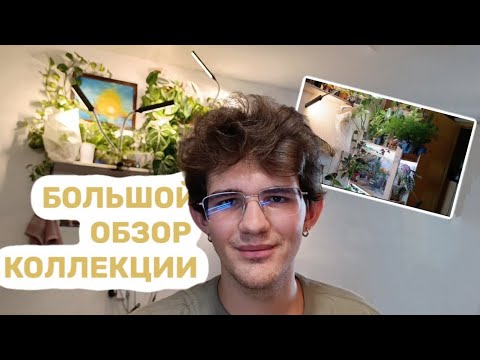Видео: БОЛЬШОЙ ОБЗОР РАСТЕНИЙ В ОБЩАГЕ! | Что поменялось спустя полгода?