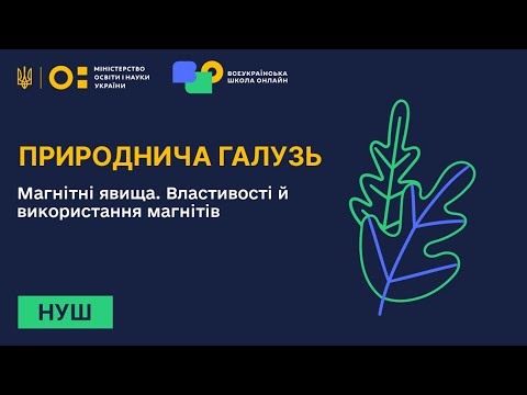 Видео: Природнича галузь. Магнітні явища. Властивості й використання магнітів