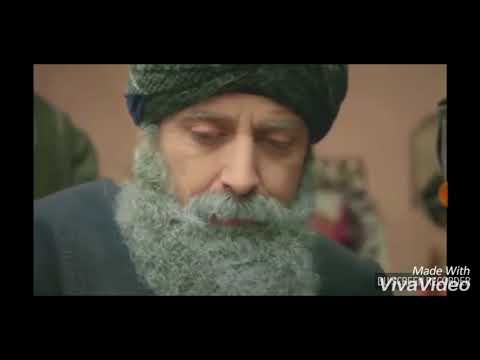 Видео: цыганский перевод