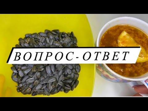 Видео: ASMR Итинг - Семечки * Вопрос-Ответ / ASMR Eating Sunflower seeds / Мукбанг / Mukbang