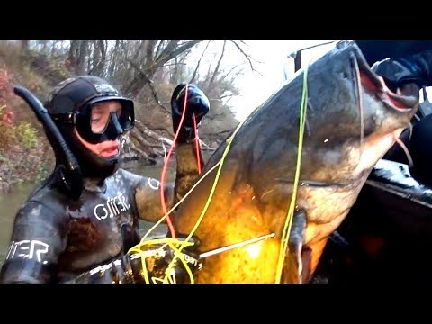 Видео: Где искать СОМА осенью в реке? Подводная охота на трофейного сома.