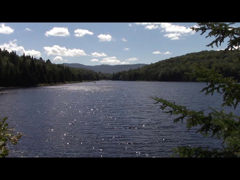 Видео: Канада глазами белоруса