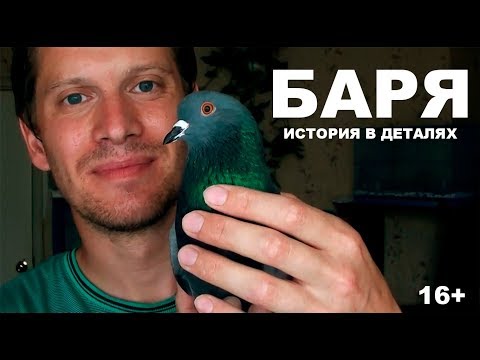 Видео: Голубь Баря. История в деталях (16+)