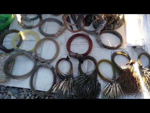 Видео: Кабк бозори шаҳри Душанбе (Зарафшон) 18.12.2021