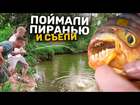 Видео: Мы с Костяном выловили ПИРАНЬЮ! Но на вкус она…