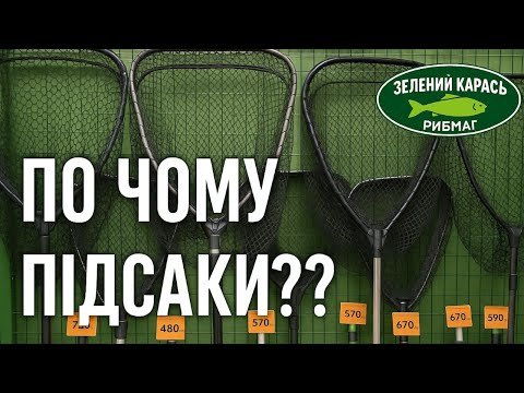 Видео: Асортимент підсаків з цінами