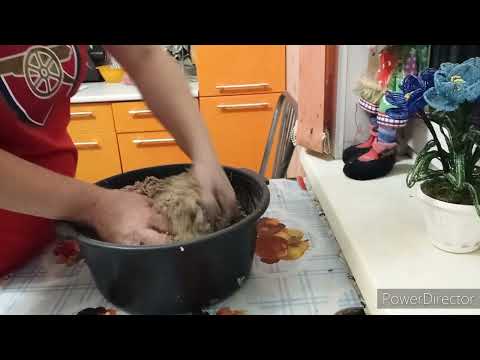 Видео: Кормовая свекла, основа для мешанки.