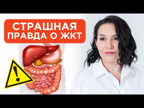Видео: Микробиом. Путь к здоровью лежит через восстановление микробиоты.