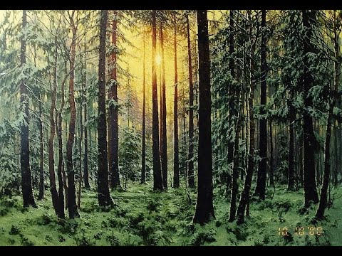 Видео: Лесная тишина