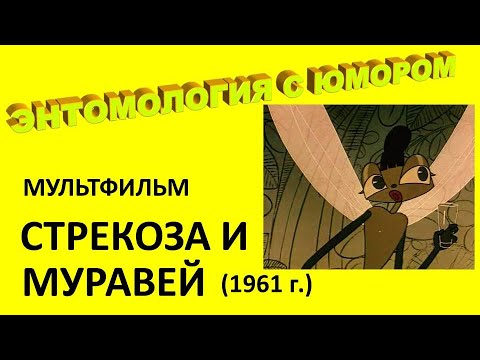 Видео: Мультфильм "Стрекоза и муравей" (1961 г.)