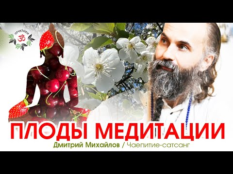 Видео: Плоды Медитации. Дмитрий Михайлов