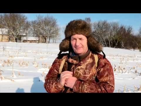 Видео: Чоловічий стандарт полювання на зайця с.Порозове 2017