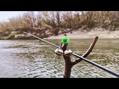 Видео: ОДНИМ СЛОВОМ СКАЗКА! РЕКА ДОНКА И АКТИВНЫЙ КЛЁВ РЫБЫ! Рыбалка на донку 2023.