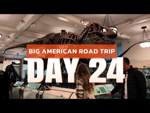 Видео: Большое дорожное путешествие по США. День 24. НЙ, центральный парк, Музей естественной истории