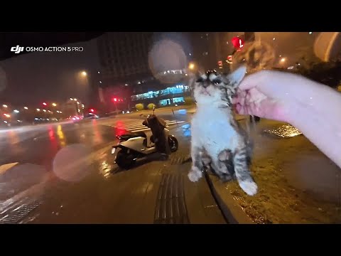Видео: Если бы я не поехал домой в тайфун, я бы никогда её не встретил...