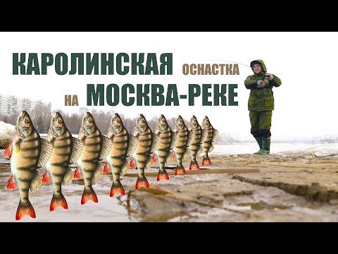 Видео: Ловля на спиннинг зимой в городе.