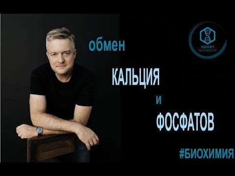 Видео: Биохимия: Обмен кальция и фосфатов