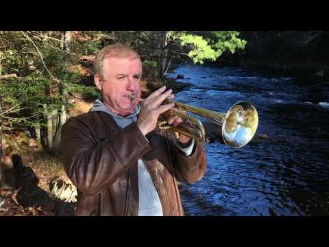 Видео: Мирча Беженару. Молдавская "Хора".