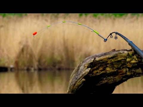 Видео: Ловля ЗАКОРЧОВАНОГО карася на боковий кивок і поплавочну вудочку