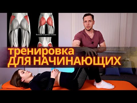 Видео: Тренировка с НУЛЯ | Как начать тренироваться правильно?