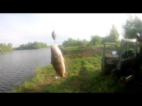 Видео: Воблер  TsuYoki agent 36f на отводном поводке. Река Тулва Июнь 2021 Пермский Край