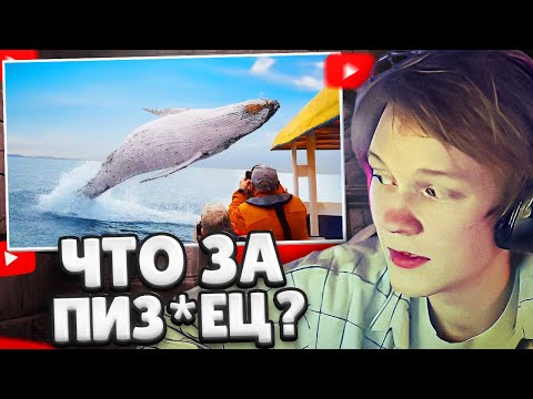 Видео: ДИПИНС СМОТРИТ: ДОЗА ИНТЕРНЕТА