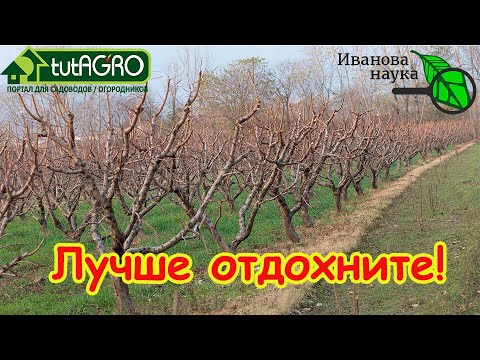 Видео: ПУСТЫЕ ХЛОПОТЫ: лучше отдохните. Эти работы в ноябре не принесут пользы.