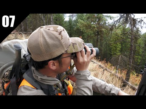 Видео: Открытие охоты на мула в горах! (Олений лагерь) | 2025 EP.07