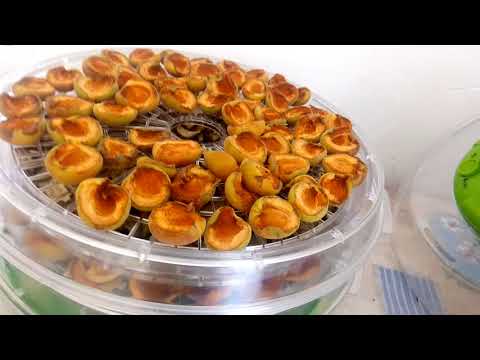 Видео: Обзор сушки для овощей и фруктов Saturn