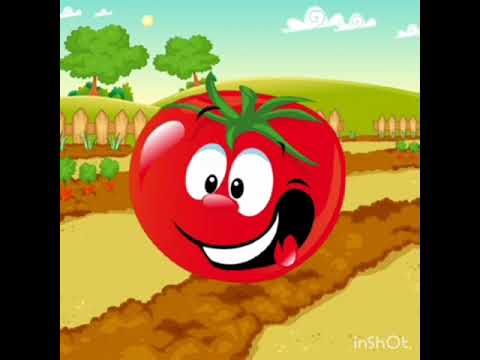 Видео: Сенсорний розвиток "Овочі"