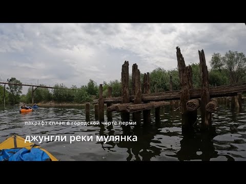 Видео: Джунгли Мулянки
