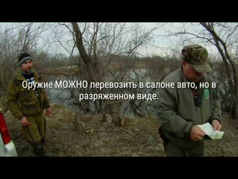 Видео: Разговор с охотинспектором Хорольского ООиР