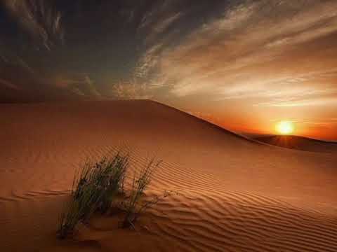 Видео: Terra Sancta-II - Канцлер Ги