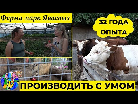 Видео: Ферма-парк Яваевых. Принципы развития хозяйства с 32-летней историей. Мудрое фермерство