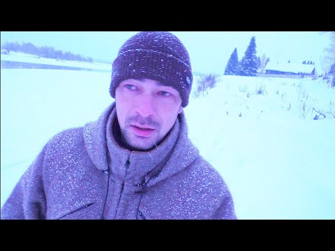 Видео: ЗВЕРИ БРОДЯТ ВОЗЛЕ ДЕРЕВНИ / ПРОЖОРЛИВЫЕ НОРКИ ЛОВЯТ РЫБУ / ПРОВЕРКА КАПКАНА НА ПУШНИНУ.