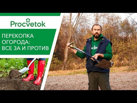 Видео: Копать или не копать огород осенью? Разберем все ЗА и ПРОТИВ