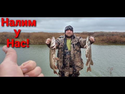 Видео: Нура Налим! Двух дневная Рыбалка-Рыбалочка!!!
