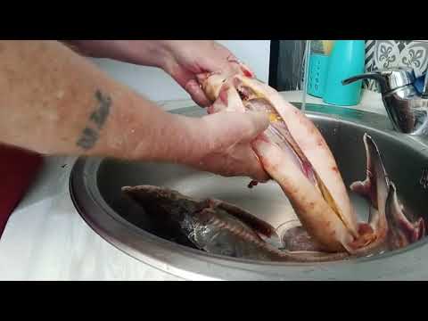 Видео: Как чистить стерлядь