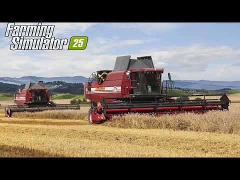 Видео: FS 25 //Агрохолдинг "СНГ Интернешнл" //Год 5//Мясокомбинат "ГазМяс" - запуск //Stream  № 29