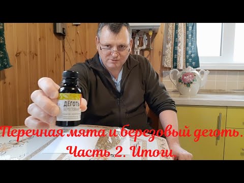 Видео: Перечная мята и березовый деготь.  Часть 2.  Итоги.