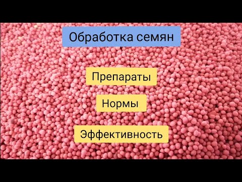 Видео: Обработка семян перед посевом. Препараты, нормы.