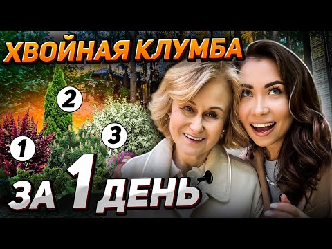 Видео: 🌲💥ЭФФЕКТНАЯ клумба ЛЕГКО: у Дарьи Донцовой теперь гортензии, сосны и можжевельники