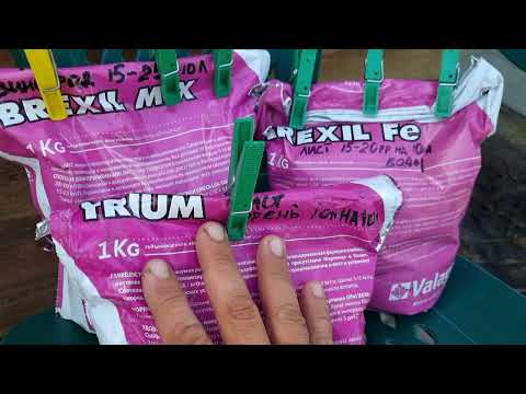 Видео: Эти удобрения для винограда работают за считанные дни, виноград бушует, о хлорозах забыл.