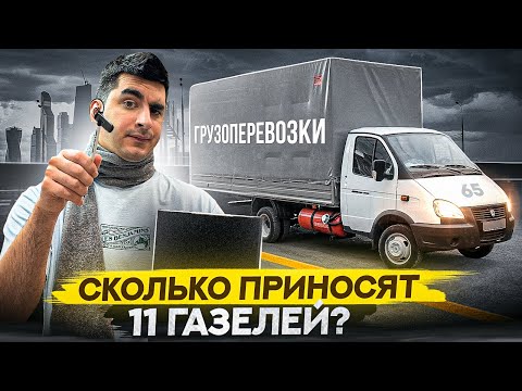 Видео: Сколько приносят 11 газелей? Бизнес на грузоперевозках