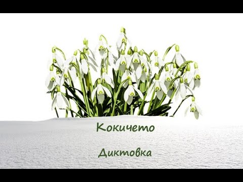Видео: Кокичето - Диктовка (4 клас)