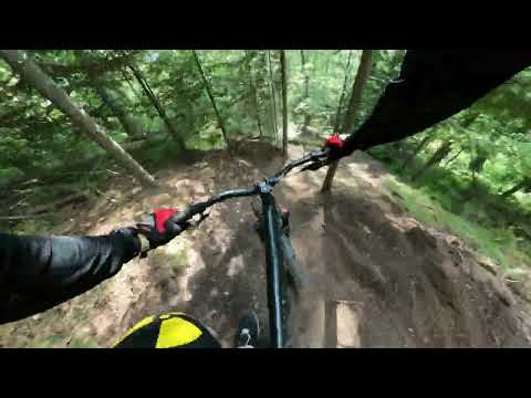 Видео: Белка в колесе: "Чёрный принц"