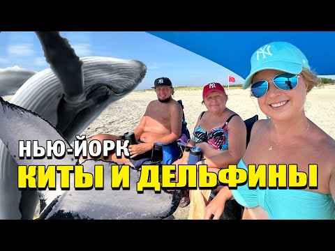 Видео: УВИДЕЛИ КИТОВ!!! Впечатления мамы от пляжей Нью-Йорка. Рокэвэй Бич