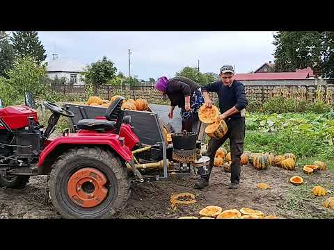 Видео: Вишкрибатором   вибираю насіння 