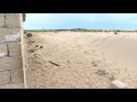 Видео: Ақтөбеде ауылдарды құм басты